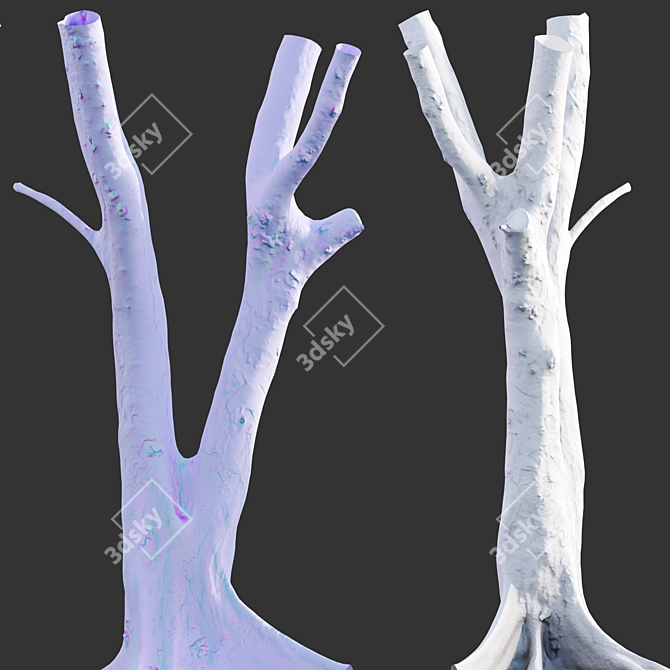 3D Ficus Tree Models Bundle 3D model image 5