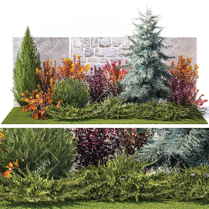 Collection of Large Plants: Thuja, Cypress, Blue Spruce 3D model image 1