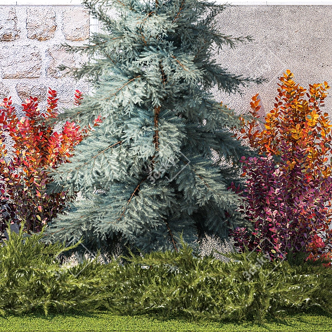 Collection of Large Plants: Thuja, Cypress, Blue Spruce 3D model image 5