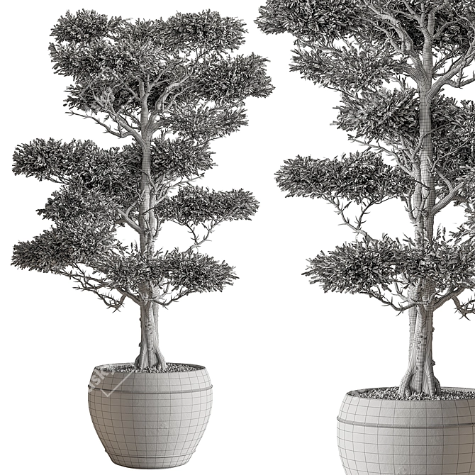 Evergreen Tree in Pot 3D model image 4