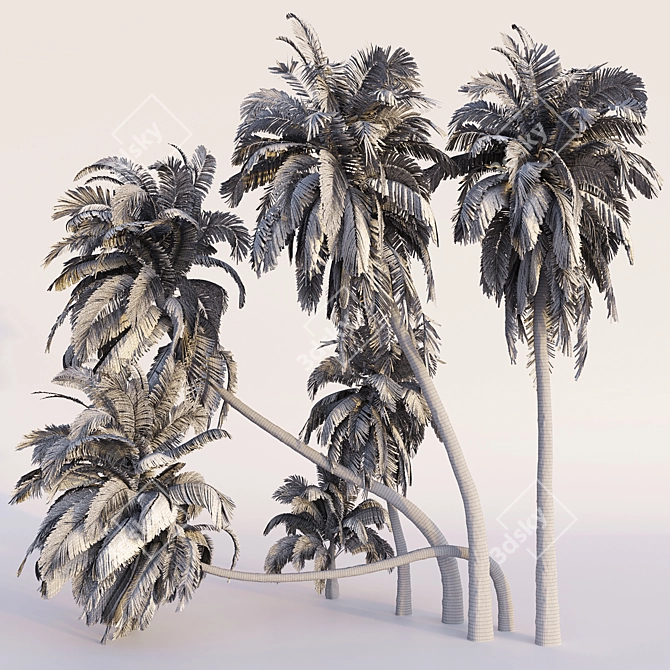 Coconut Palm Trees Set 3D model image 2