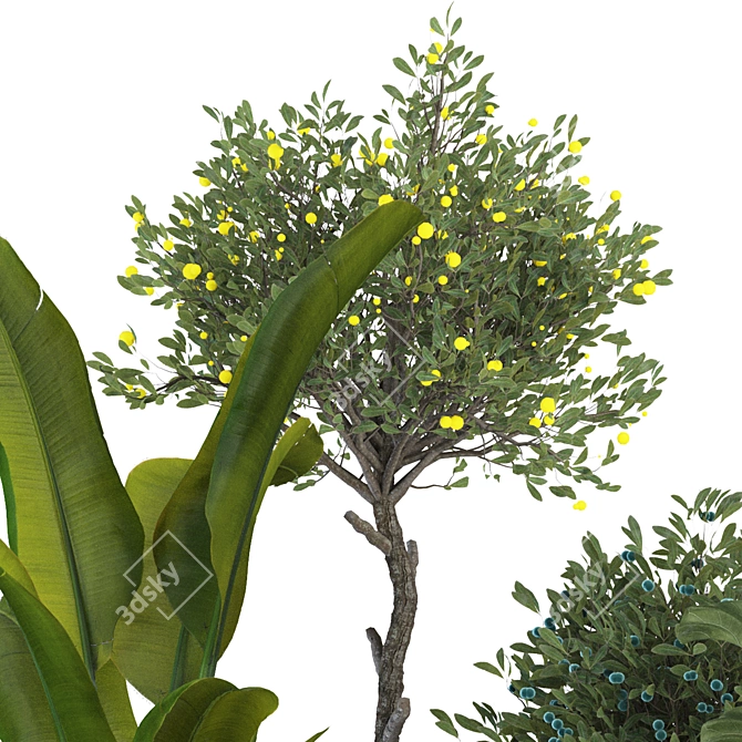 Tropical Indoor Plant Set Mesh 3D model image 6