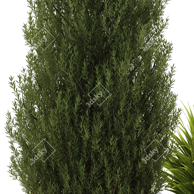 Landscaping Tree Bush OBJ Bundle 3D model image 6