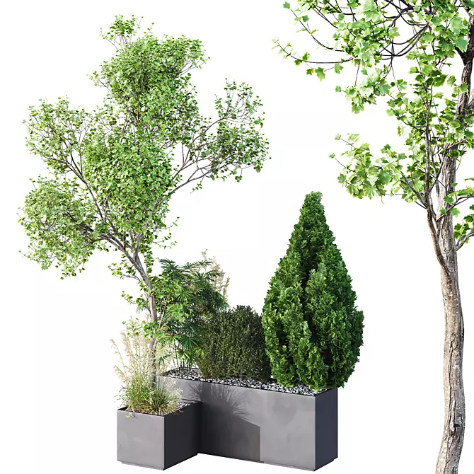 Tree and Bush Garden Box 3D model image 1