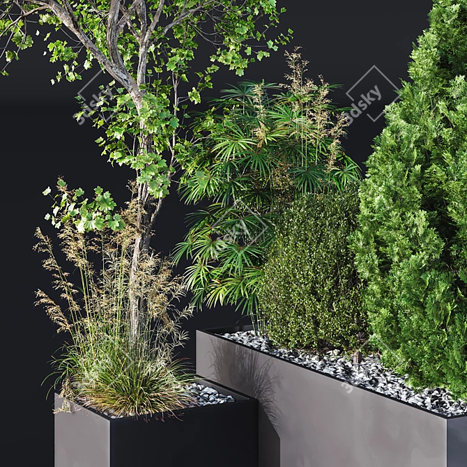 Tree and Bush Garden Box 3D model image 2