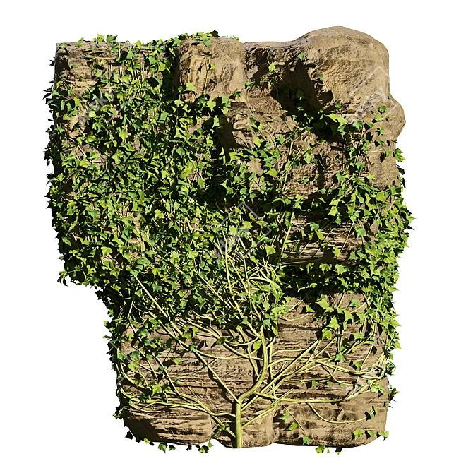 Vibrant Ivy-Covered Rock 3D Model 3D model image 1