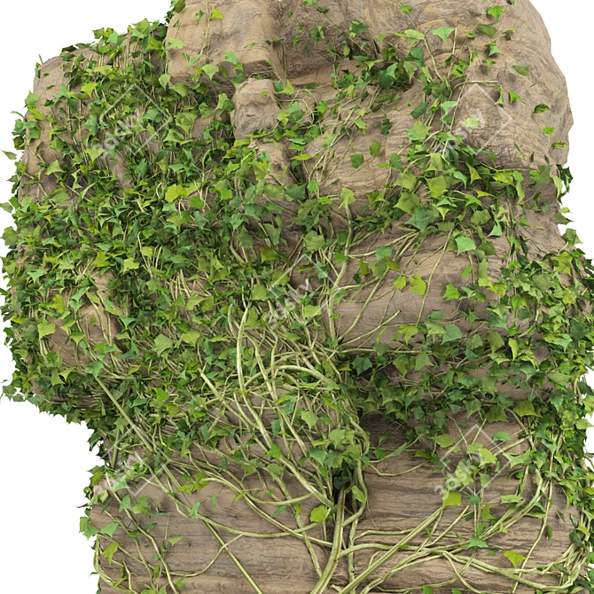 Vibrant Ivy-Covered Rock 3D Model 3D model image 3