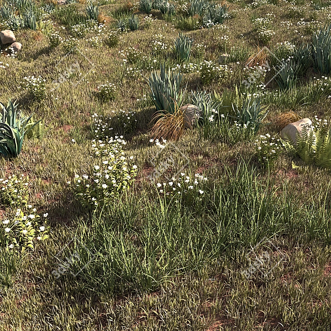 ChaosScatter Field Herbs Collection 3D model image 8