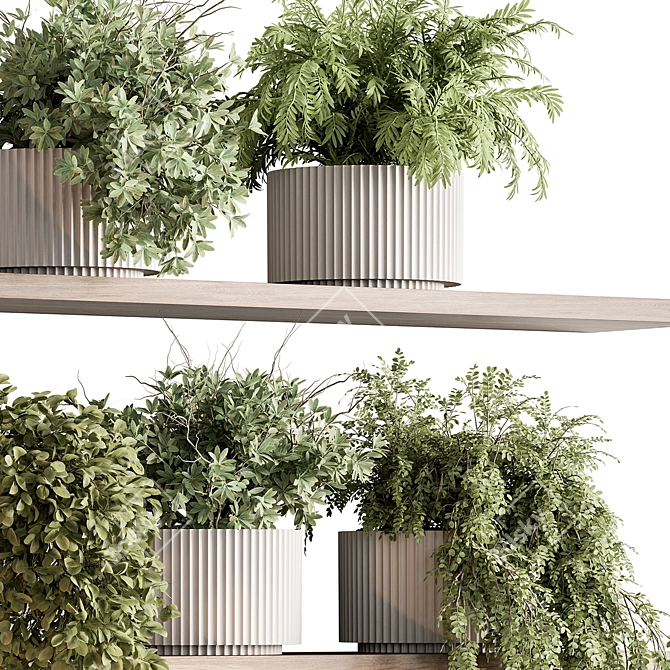 Hanging Indoor Plant Collection 3D model image 2