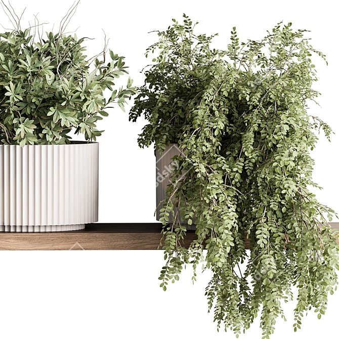 Hanging Indoor Plant Collection 3D model image 3