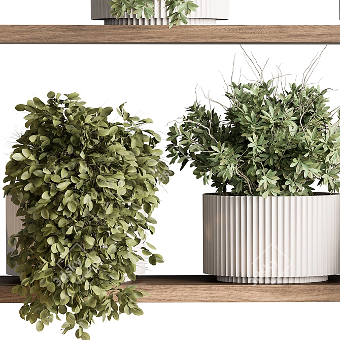 Hanging Indoor Plant Collection 3D model image 4