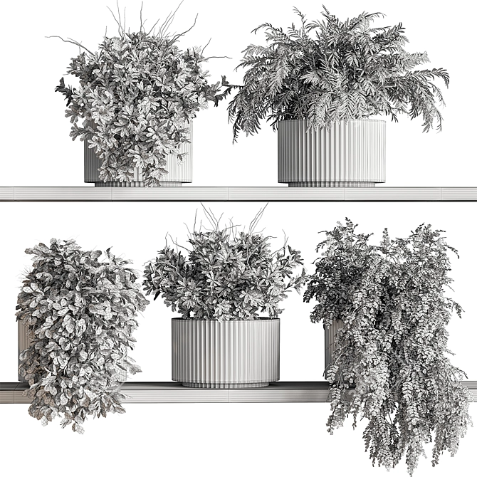 Hanging Indoor Plant Collection 3D model image 5