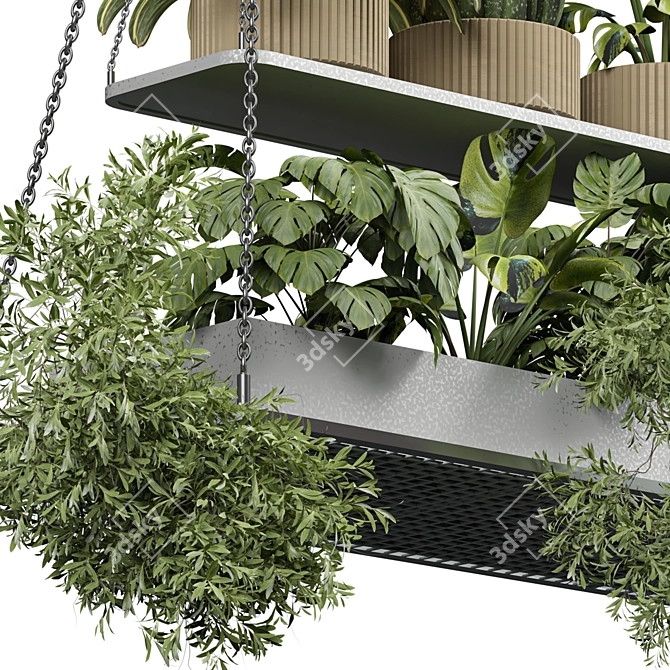 Modern Indoor Plant 3D 2015 3D model image 3