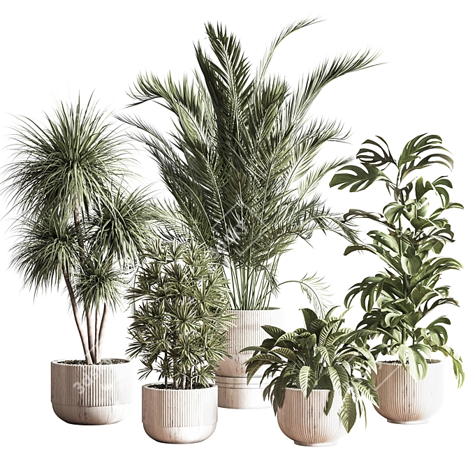 Elegant Indoor Plant Decor Set 3D model image 1