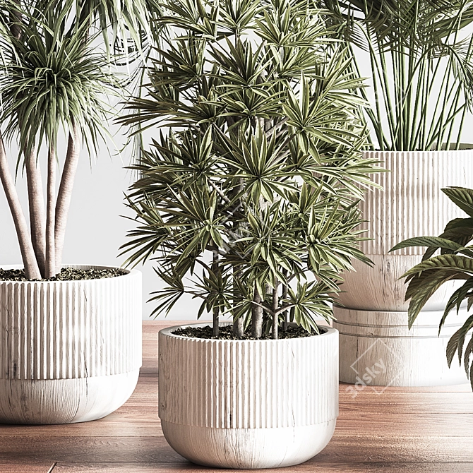 Elegant Indoor Plant Decor Set 3D model image 3