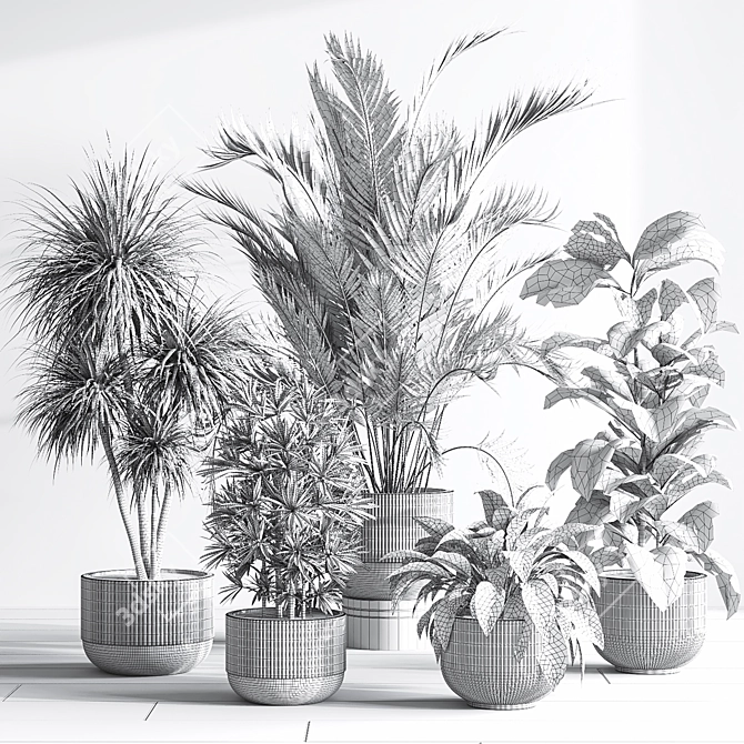 Elegant Indoor Plant Decor Set 3D model image 7