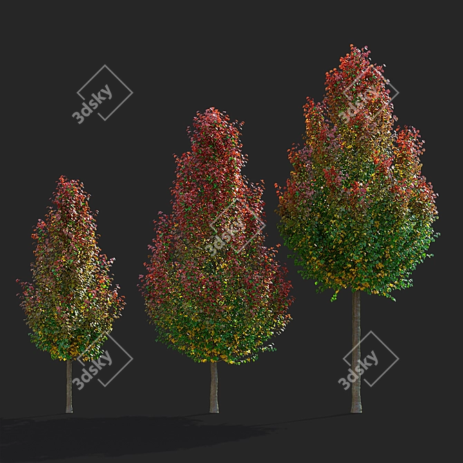 Chanticlee Autumn Pear Tree Collection 3D model image 2