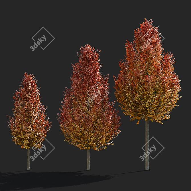 Chanticlee Autumn Pear Tree Collection 3D model image 3