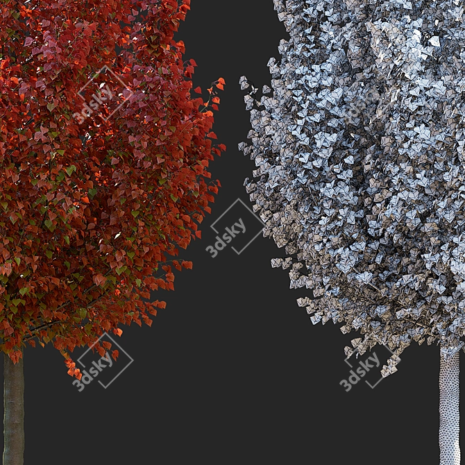 Chanticlee Autumn Pear Tree Collection 3D model image 5