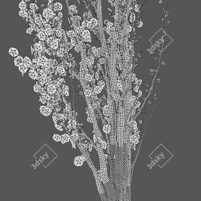 Prunus Amanogawa Flagpole Cherry 3D model image 6