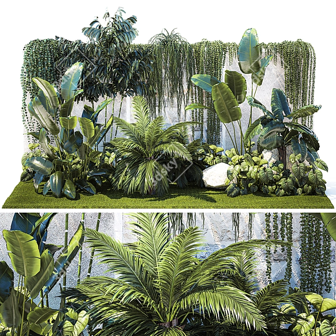 Tropical Oasis Plant Collection 3D model image 1