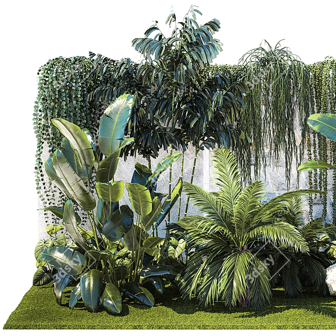 Tropical Oasis Plant Collection 3D model image 2