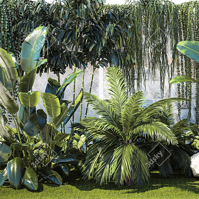 Tropical Oasis Plant Collection 3D model image 5