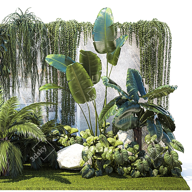 Tropical Oasis Plant Collection 3D model image 6