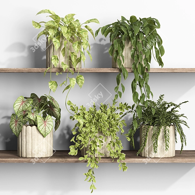 Modern Style Plant Shelf Display 3D model image 2