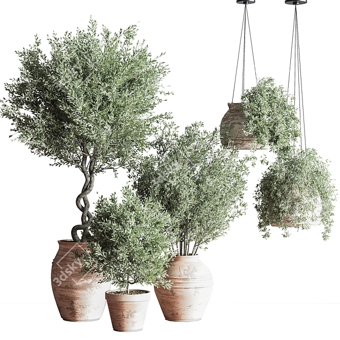 Elegant Indoor Plant Set 3D model image 1