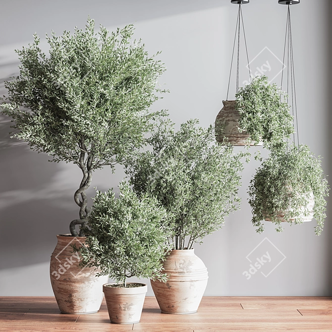 Elegant Indoor Plant Set 3D model image 2