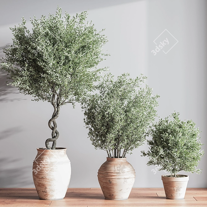 Elegant Indoor Plant Set 3D model image 4