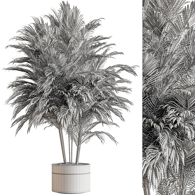 Tropical Majesty Palm Tree 3D model image 5