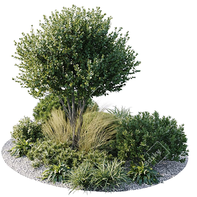 Botanical Beauty Outdoor Plants Display 3D model image 4