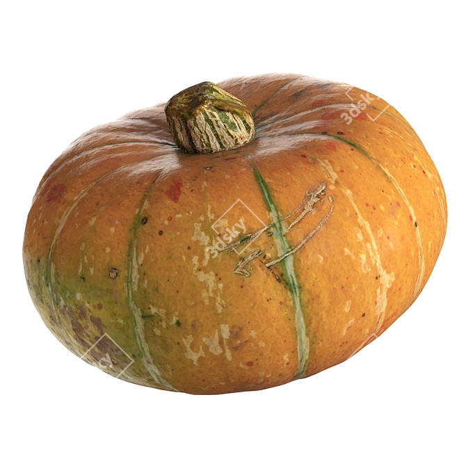 Round Pumpkin Duo 3D Model 3D model image 1