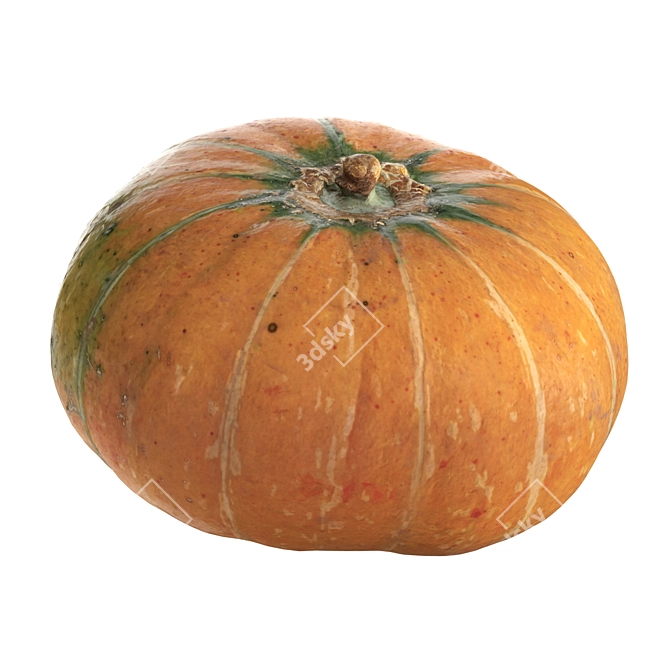 Round Pumpkin Duo 3D Model 3D model image 2