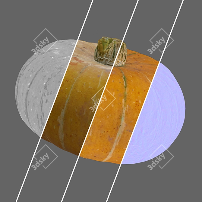 Round Pumpkin Duo 3D Model 3D model image 7