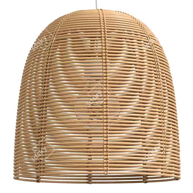 Vivi Large Rattan Pendant Lamp 3D model image 1