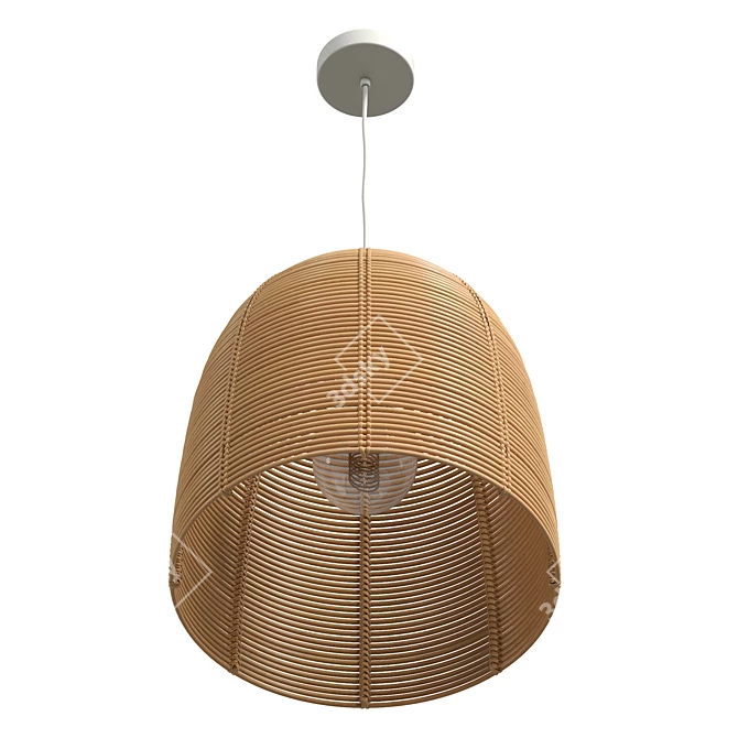 Vivi Large Rattan Pendant Lamp 3D model image 4