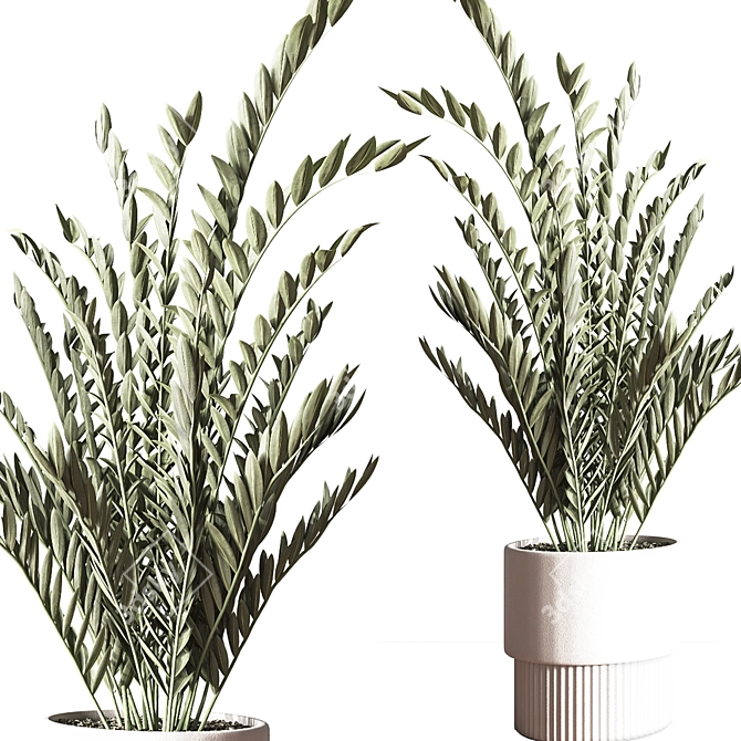 Modern Indoor Plant Set 3D 3D model image 9