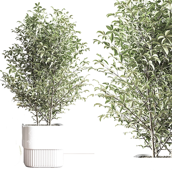 Modern Indoor Plant Set 3D 3D model image 10