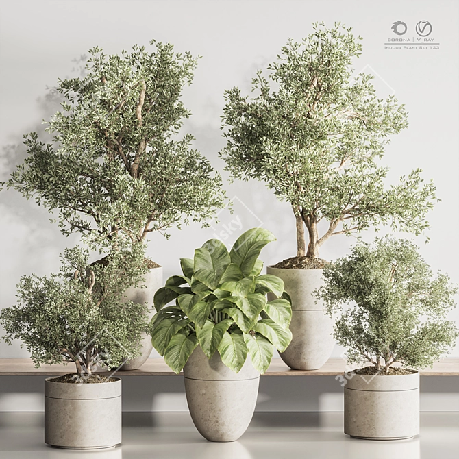 Modern Indoor Plant Set 123 3D model image 1