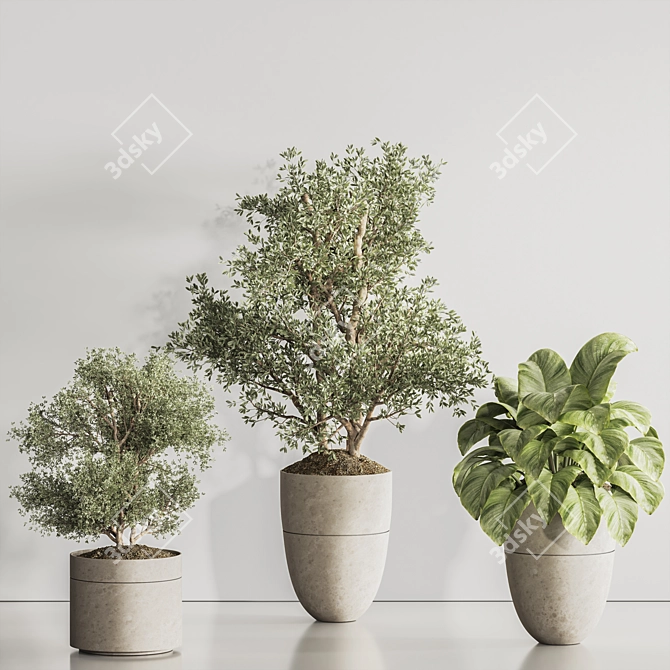 Modern Indoor Plant Set 123 3D model image 3