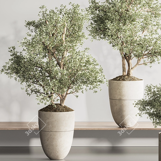 Modern Indoor Plant Set 123 3D model image 4