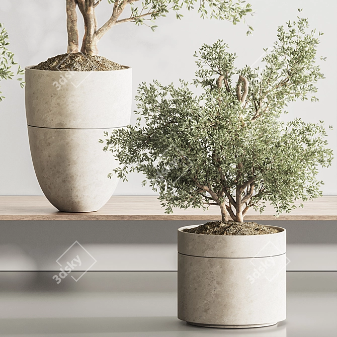 Modern Indoor Plant Set 123 3D model image 5