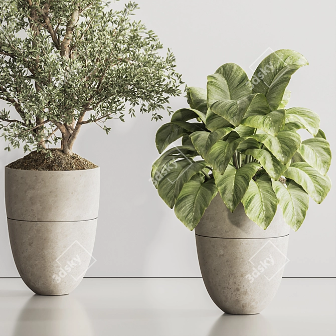 Modern Indoor Plant Set 123 3D model image 6