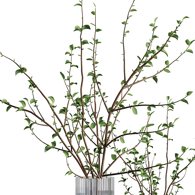 Elegant Floral Branch Bouquet Display 3D model image 3