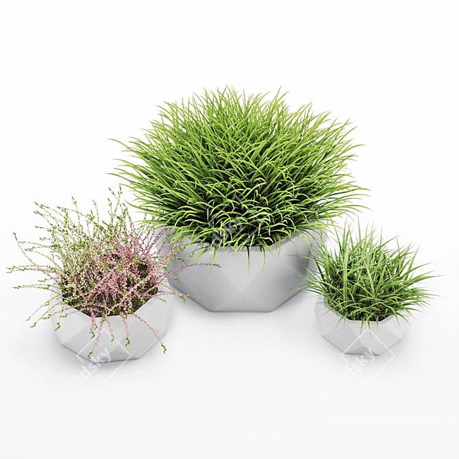 Vray Render Outdoor Plant 3D 3D model image 4