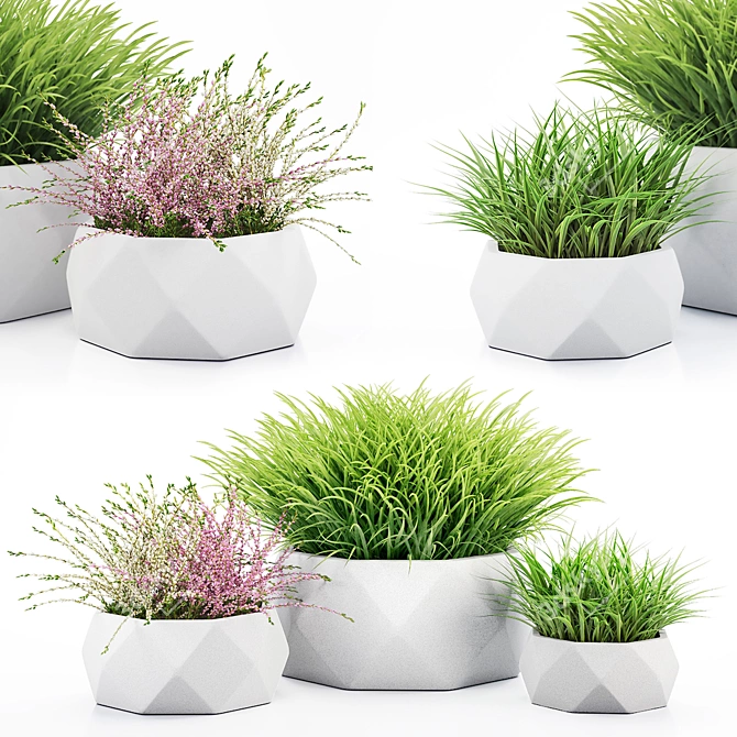 Vray Render Outdoor Plant 3D 3D model image 6