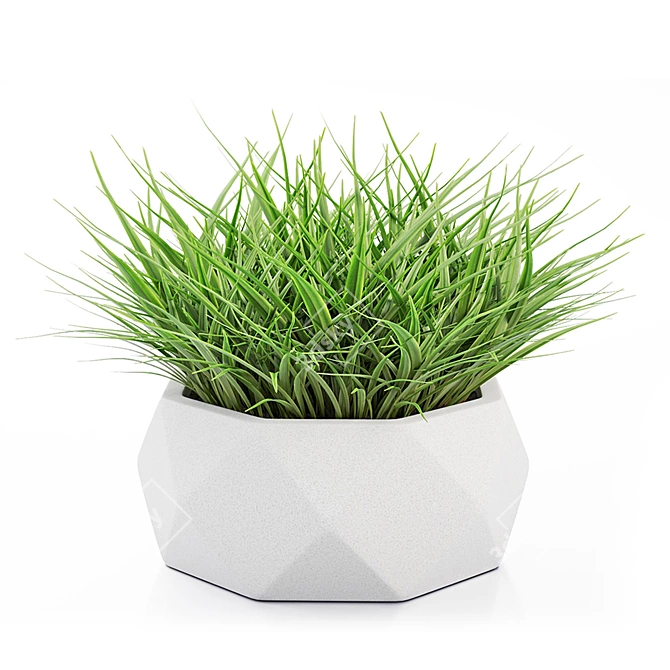 Vray Render Outdoor Plant 3D 3D model image 11